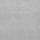 Platinum Aspire Twist Carpet