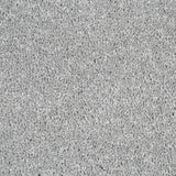 Platinum Aspire Twist Carpet