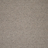 Platinum Natural Berber Twist Deluxe 55oz Carpet by Cormar