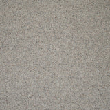 Platinum Natural Berber Twist Deluxe 55oz Carpet by Cormar