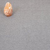 Platinum Riverside Twist 60oz Carpet