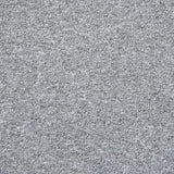 Platinum Utah Loop Feltback Carpet