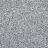Platinum Utah Loop Feltback Carpet