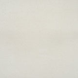 Polar White Silken Serenity Carpet by Cormar