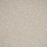 Powder Stainfree Ultra Carpet by Abingdon