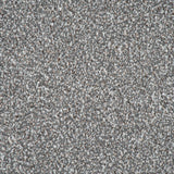 Pumice Blend Stainfree Knightsbridge Berber Carpet by Abingdon