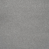 Pumice Blend Stainfree Knightsbridge Berber Carpet by Abingdon