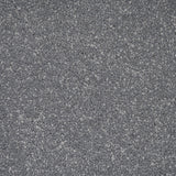 Pumice Primo Plus Carpet by Cormar