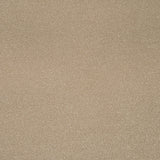 Putty Primo Plus Carpet by Cormar