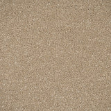 Putty Primo Plus Carpet by Cormar