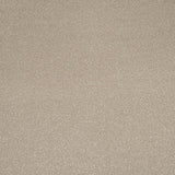 Resin Primo Plus Carpet by Cormar