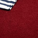 Rioja Stainfree Caress Carpet by Abingdon