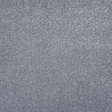 Roman Silver 95 Sirius 70oz Invictus Carpet