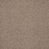 Rushford Rye Woodland Heather 55oz Twist Deluxe Carpet by Cormar