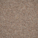 Rushford Rye Woodland Heather 55oz Twist Deluxe Carpet by Cormar