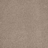 Rustic Charm 04 Stainfree Rustique Saxony Carpet by Abingdon