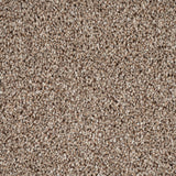 Rustic Charm 04 Stainfree Rustique Saxony Carpet by Abingdon