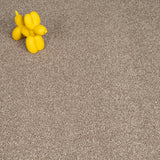 Rustic Charm 04 Stainfree Rustique Saxony Carpet by Abingdon