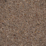 Rustic Clay Natural Berber Twist Deluxe 55oz Carpet by Cormar