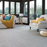 Greystone Stainfree Rustique Ultra Carpet by Abingdon