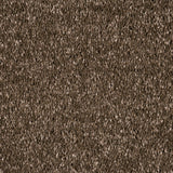 Sable Brown Alhambra Saxony Carpet