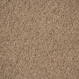Sandcastle 35 Magnificus Invictus Supreme Carpet