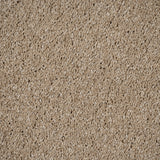 Sandcastle 35 Magnificus Invictus Supreme Carpet