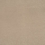 Sandstone 37 Aries Invictus Carpet