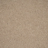 Sandstone 37 Aries Invictus Carpet