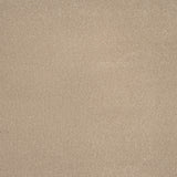 Sandstone 37 Taurus Invictus Carpet