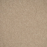 Sandstone 37 Taurus Invictus Carpet