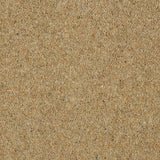 Sandstone Royal Windsor Charter Berber Deluxe Carpet by Abingdon