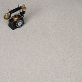 Sandstone Stainfree Rustique Ultra Carpet by Abingdon