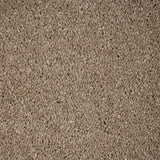 Sandy Beach 32 Orion 50oz Invictus Carpet