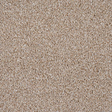 Sandy Beige Aspire Twist Carpet