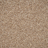 Sandy Beige 53 Pisa Saxony Carpet