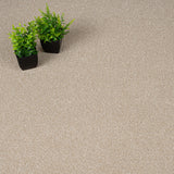 Savannah Stainfree Rustique Ultra Carpet by Abingdon