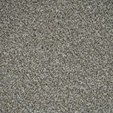 Sedge Stainfree Rustique Ultra Carpet by Abingdon