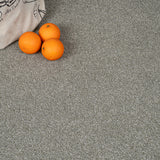 Sedge Stainfree Rustique Ultra Carpet by Abingdon