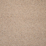 Seed Natural Berber Twist Deluxe 55oz Carpet by Cormar