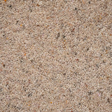 Seed Natural Berber Twist Deluxe 55oz Carpet by Cormar