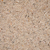 Seed Natural Berber Twist Deluxe 55oz Carpet by Cormar