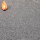 Shadow Coast Twist Carpet Clearance