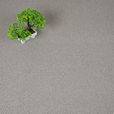 Shale Grey Florida Loop Carpet