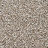 Shell Maverick Saxony Carpet