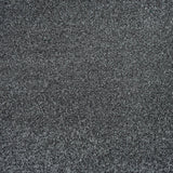 Shepherds Friend 01 Stainfree Rustique Saxony Carpet by Abingdon