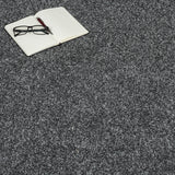 Shepherds Friend 01 Stainfree Rustique Saxony Carpet by Abingdon