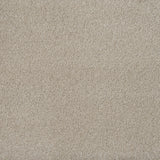 Shortbread 31 Magnificus Invictus Supreme Carpet