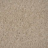 Shortbread 31 Magnificus Invictus Supreme Carpet