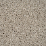 Shortbread 31 Magnificus Invictus Supreme Carpet